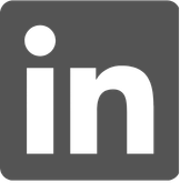 Icon LI