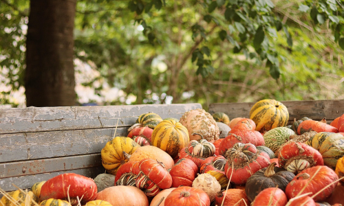 Herbstferien
